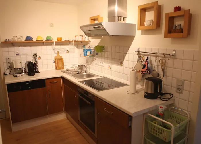 Harz-huette Am Bohlweg Διαμέρισμα Wildemann